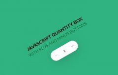 Javascript Quantity box