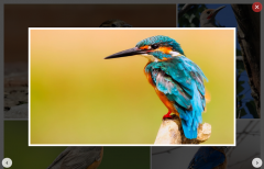 Responsive Image Gallery with jQuery Lightbox